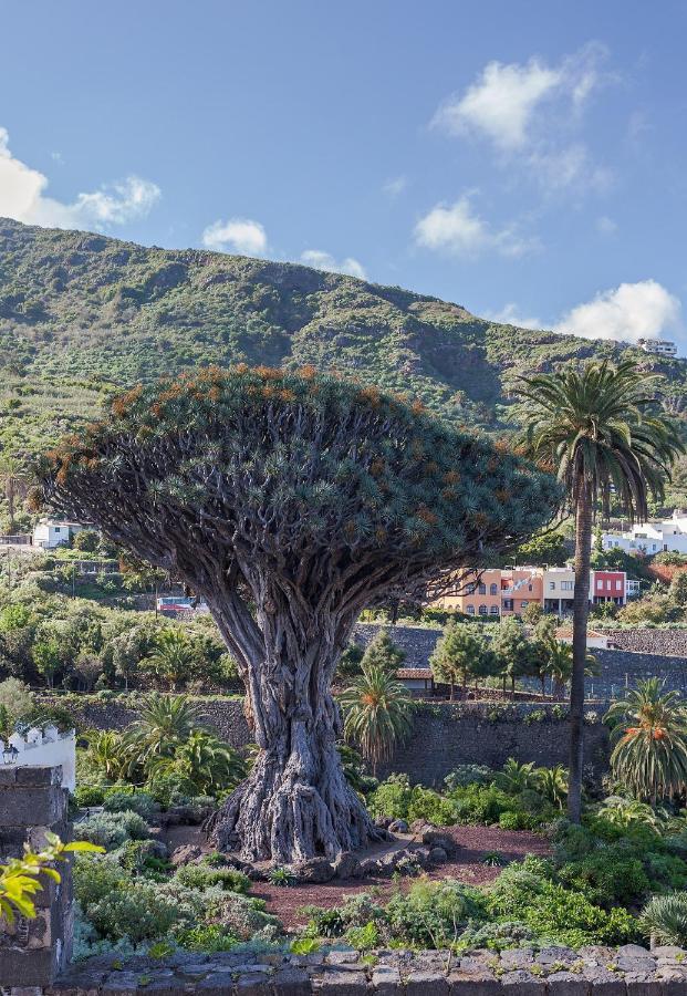 Terraza Centrico Pueblo Aparcamiento Cerca Lägenhet Icod De Los Vinos Exteriör bild
